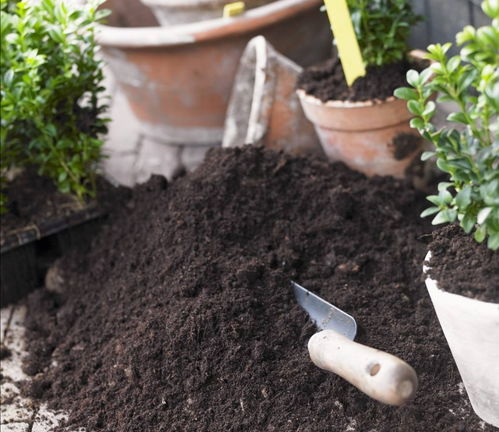 養(yǎng)花用的土是壤土嗎