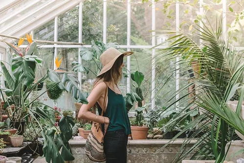 土命的人養(yǎng)花不好