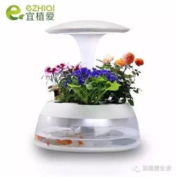 室內(nèi)養(yǎng)花愛(ài)掉葉