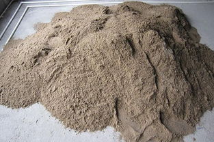 普通沙子可以養(yǎng)花么