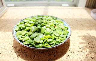 談?wù)勷B(yǎng)花心得