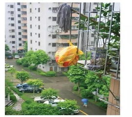 陽臺(tái)養(yǎng)花多好嗎