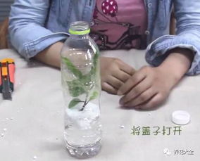 泡沫怎么改造成養(yǎng)花