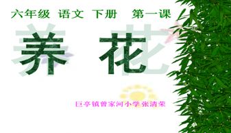 養(yǎng)花閱讀概括本文主要內(nèi)容