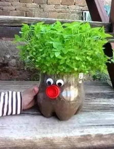 瓶子養(yǎng)花花根臭了