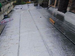 樓底能養(yǎng)花嗎