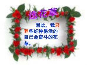 人教版養(yǎng)花課件