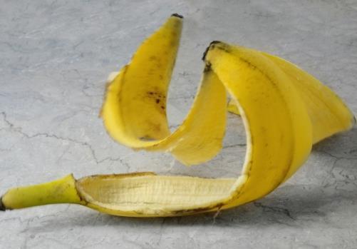 氨基酸可以用來養(yǎng)花嗎