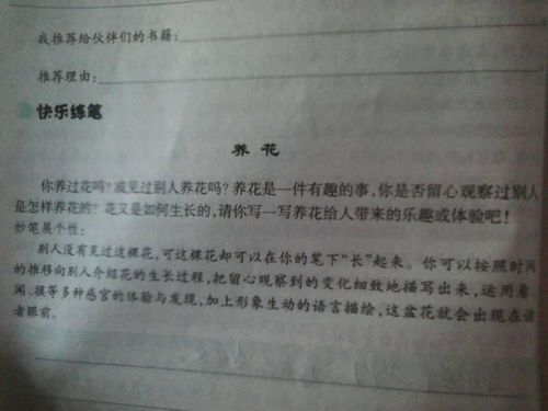 我味養(yǎng)花四百字作文