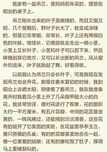 養(yǎng)花趣事作文300字吊蘭