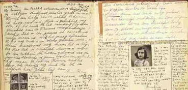 養(yǎng)花讀書(shū)心得300字