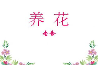 免費養(yǎng)花課件ppt