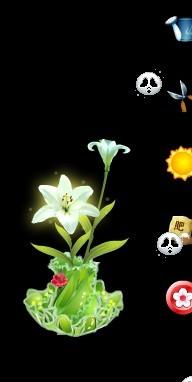 qq空間養(yǎng)花藤怎么讓它不顯示