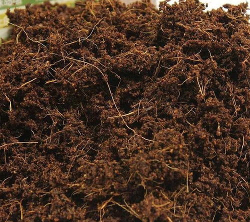 營(yíng)養(yǎng)土買(mǎi)回來(lái)配什么土一起養(yǎng)花