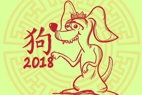 適合每個(gè)生肖養(yǎng)花