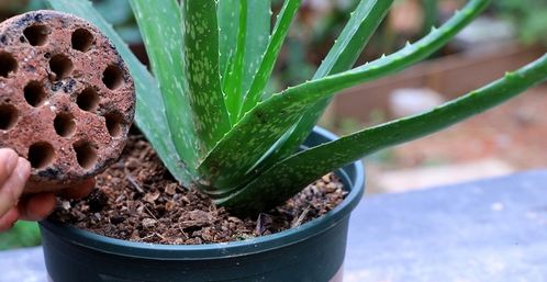 養(yǎng)花用細沙中沙粗紗