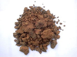 麻油渣如何養(yǎng)花