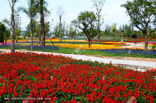 徐州有養(yǎng)花機(jī)地嗎