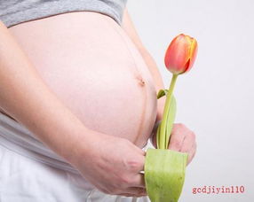 懷孕的人夢(mèng)見(jiàn)種花養(yǎng)花