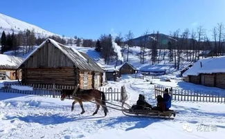 天津室內(nèi)養(yǎng)花太干燥