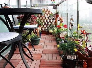 陽臺養(yǎng)花露水