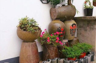 怎樣用飲料桶養(yǎng)花