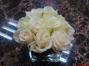 過期的活性炭能養(yǎng)花嗎