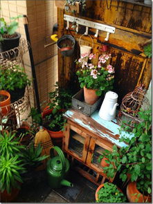 三十層露臺(tái)養(yǎng)花