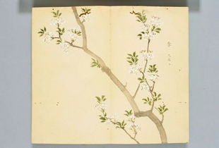 詩經(jīng)養(yǎng)花的句子