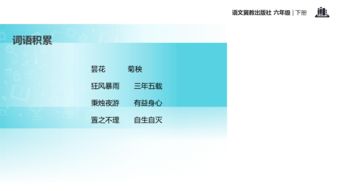 養(yǎng)花課題導(dǎo)入