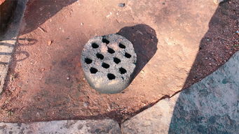 蜂窩煤養(yǎng)花