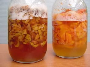 養(yǎng)花水溶肥EC值多少才合適