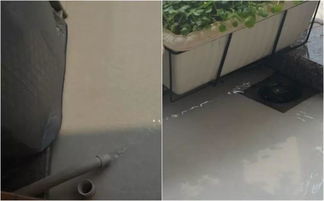 陽臺(tái)養(yǎng)花自動(dòng)澆水裝置