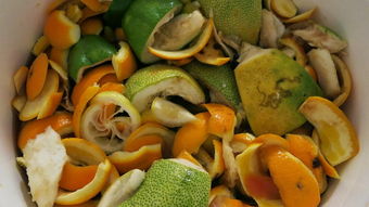 環(huán)保酵素養(yǎng)花可以不用紅糖嗎