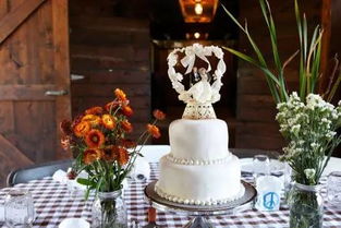 客廳里養(yǎng)花掛著