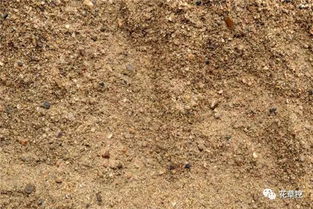 談?wù)勀銓︷B(yǎng)花的見解