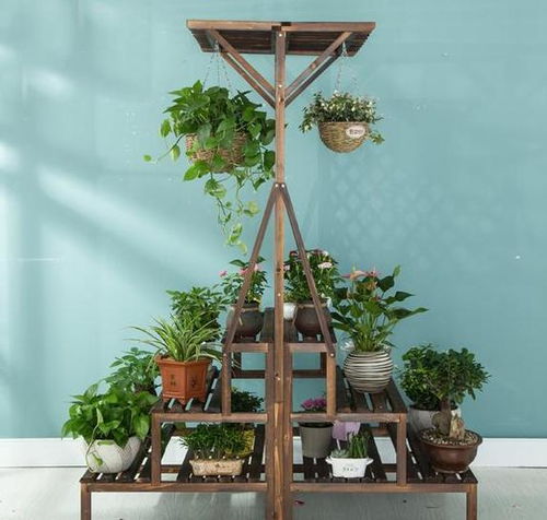 養(yǎng)花的陶瓷容器