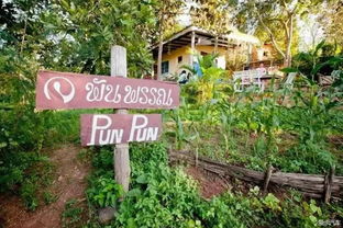 開荒種地養(yǎng)花種菜的議論文