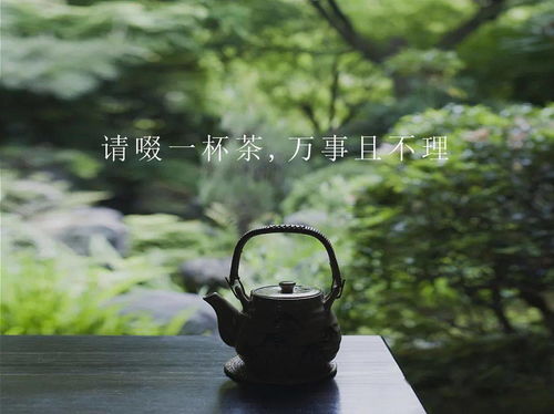 獨(dú)品清茶細(xì)聽(tīng)雨淡笑塵世靜養(yǎng)花