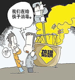 養(yǎng)花的經歷作文200字以上