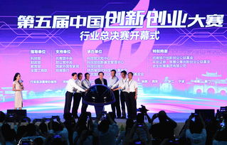 中國創(chuàng)新創(chuàng)業(yè)大賽初賽