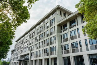 農(nóng)業(yè)大學,華中,創(chuàng)業(yè)項目,創(chuàng)新