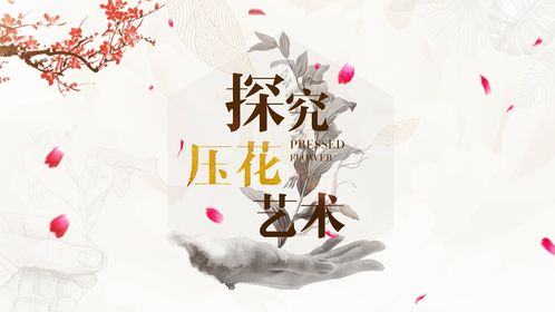 2021智慧樹大學(xué)生創(chuàng)新創(chuàng)業(yè)課筆記,2021智慧樹大學(xué)生創(chuàng)新創(chuàng)業(yè)課答案,智慧樹大學(xué)生創(chuàng)新創(chuàng)業(yè)答案2021