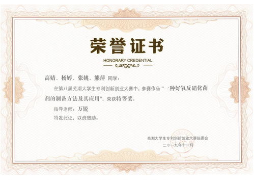 蕪湖市大學(xué)生專利創(chuàng)新創(chuàng)業(yè)大賽