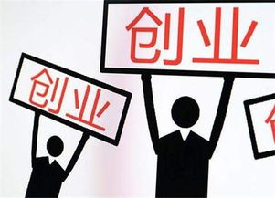 創(chuàng)業(yè)創(chuàng)新簡(jiǎn)述創(chuàng)業(yè)者的類型