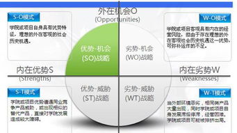 創(chuàng)新創(chuàng)業(yè)項目swot報告