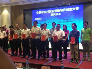 岳西創(chuàng)業(yè)創(chuàng)新大賽