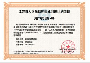 創(chuàng)業(yè)創(chuàng)新項目結項書