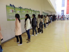 舉措,強化,實踐,包括