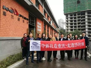 沙坪壩區(qū),服務(wù)平臺(tái),創(chuàng)新,創(chuàng)業(yè)